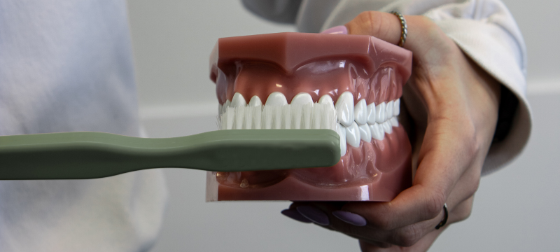 Nettoyage dentaire professionnel et détartrage – Ecodentaire Montréal